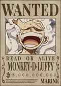 Monkey D Luffy